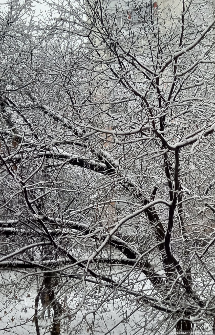 💜 Файлинка и первый снег (1 часть) 🌨️❄️ (фото 8)