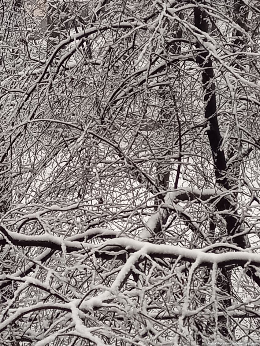 💜 Файлинка и первый снег (1 часть) 🌨️❄️ (фото 4)