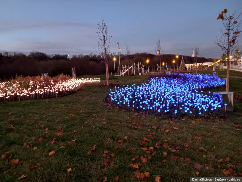 🌕 Ночная набережная 🌌🌊 — Гибриды шарнирных кукол (не БЖД): подбор тела (фото 3)
