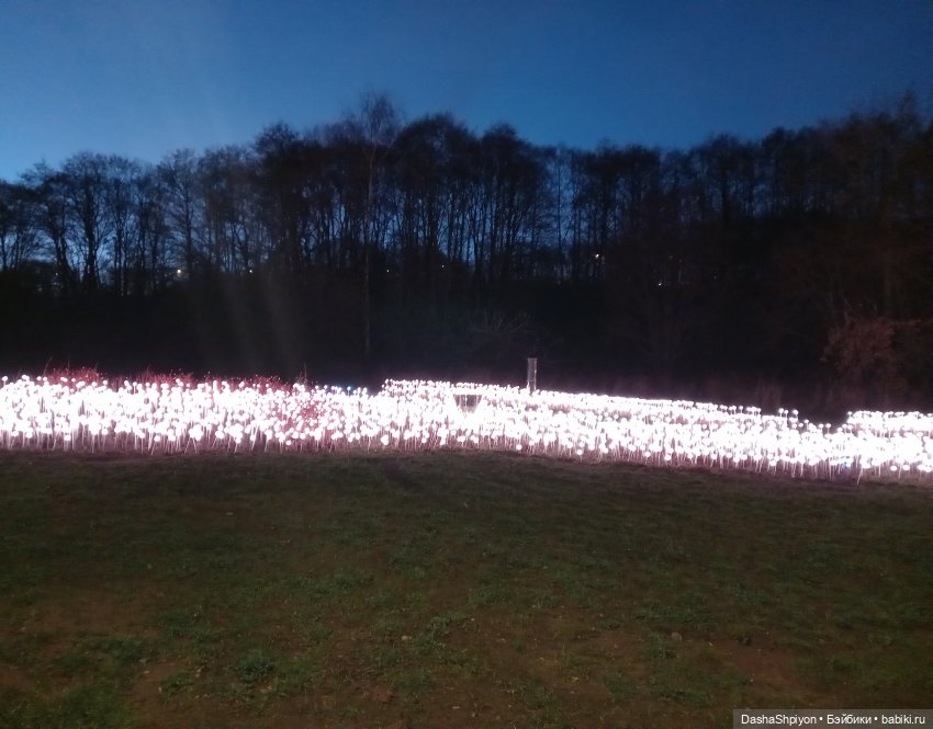 🌕 Ночная набережная 🌌🌊 — Гибриды шарнирных кукол (не БЖД): подбор тела (фото 6)