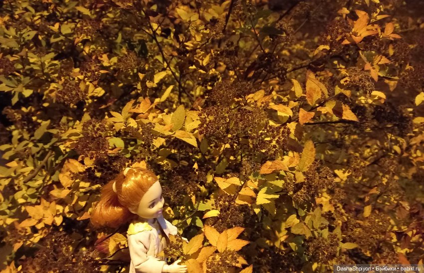 🌕 Ночная набережная 🌌🌊 — Гибриды шарнирных кукол (не БЖД): подбор тела