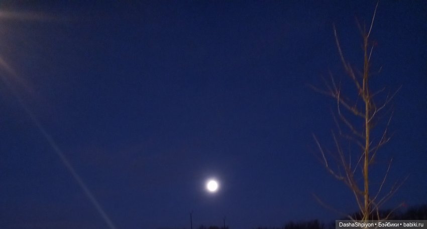 🌕 Ночная набережная 🌌🌊 — Гибриды шарнирных кукол (не БЖД): подбор тела (фото 7)