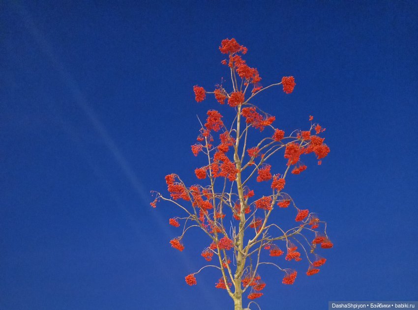🌕 Ночная набережная 🌌🌊 — Гибриды шарнирных кукол (не БЖД): подбор тела (фото 2)