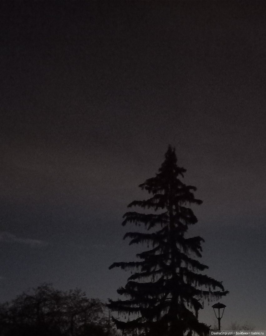 🌕 Ночная набережная 🌌🌊 — Гибриды шарнирных кукол (не БЖД): подбор тела