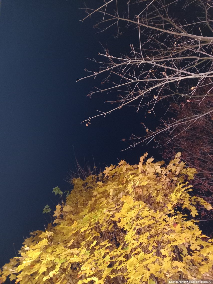 🌕 Ночная набережная 🌌🌊 — Гибриды шарнирных кукол (не БЖД): подбор тела