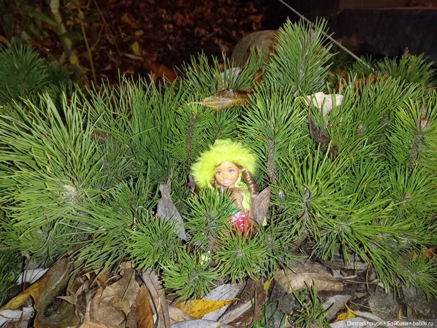 🌕 Ночная набережная 🌌🌊 — Гибриды шарнирных кукол (не БЖД): подбор тела