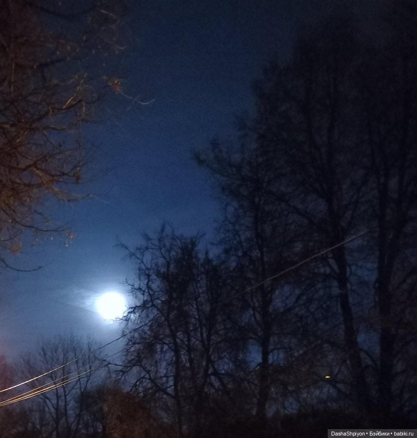 🌕 Ночная набережная 🌌🌊 — Гибриды шарнирных кукол (не БЖД): подбор тела