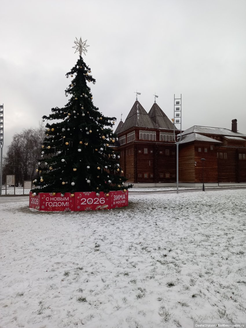 🌨️ Прогулка Валерия в поисках ёлки 🌲✨