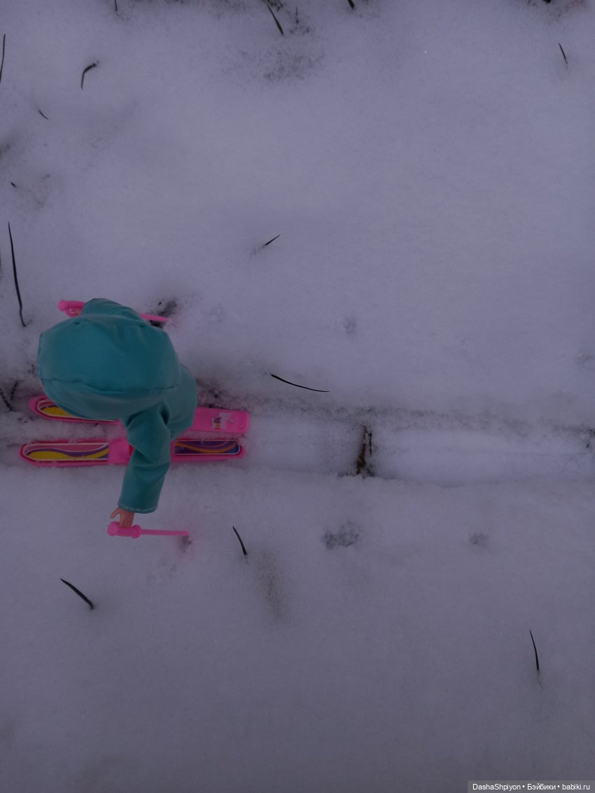 🌨️ Прогулка Валерия в поисках ёлки 🌲✨