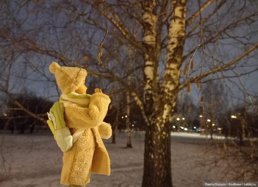 🌨️ Прогулка Валерия в поисках ёлки 🌲✨