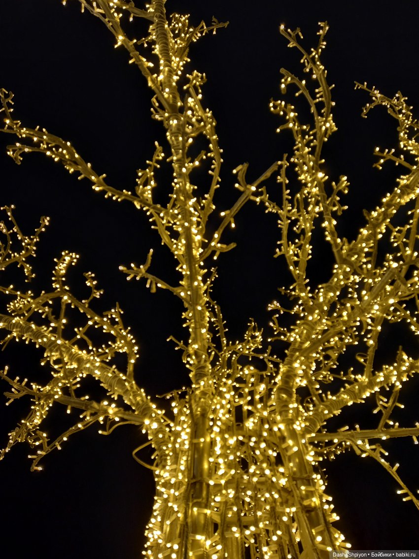 🌨️ Прогулка Валерия в поисках ёлки 🌲✨