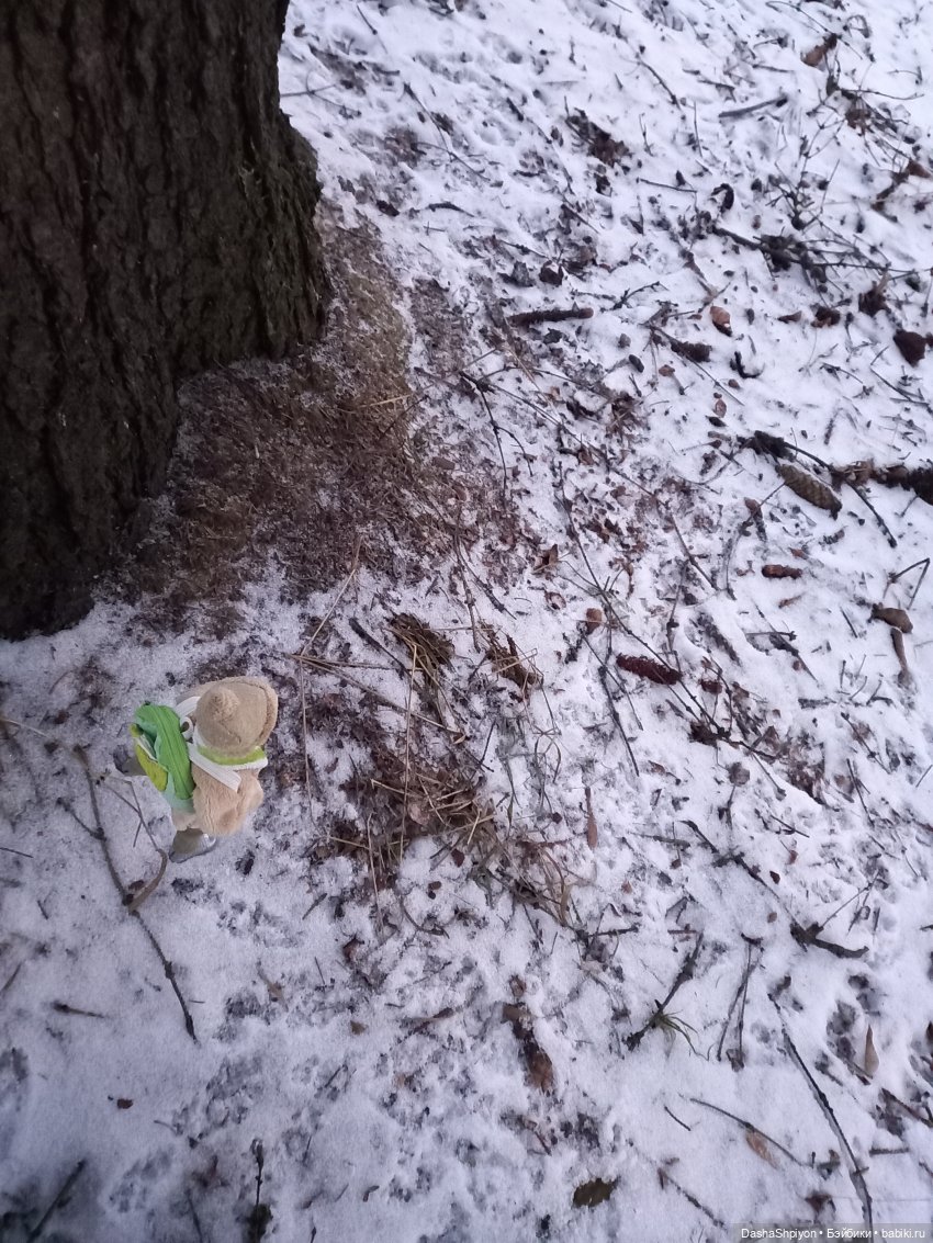🌨️ Прогулка Валерия в поисках ёлки 🌲✨