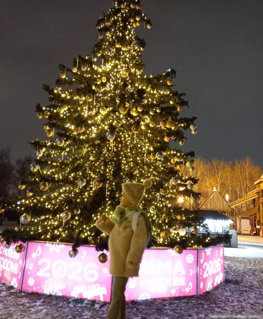 🌨️ Прогулка Валерия в поисках ёлки 🌲✨