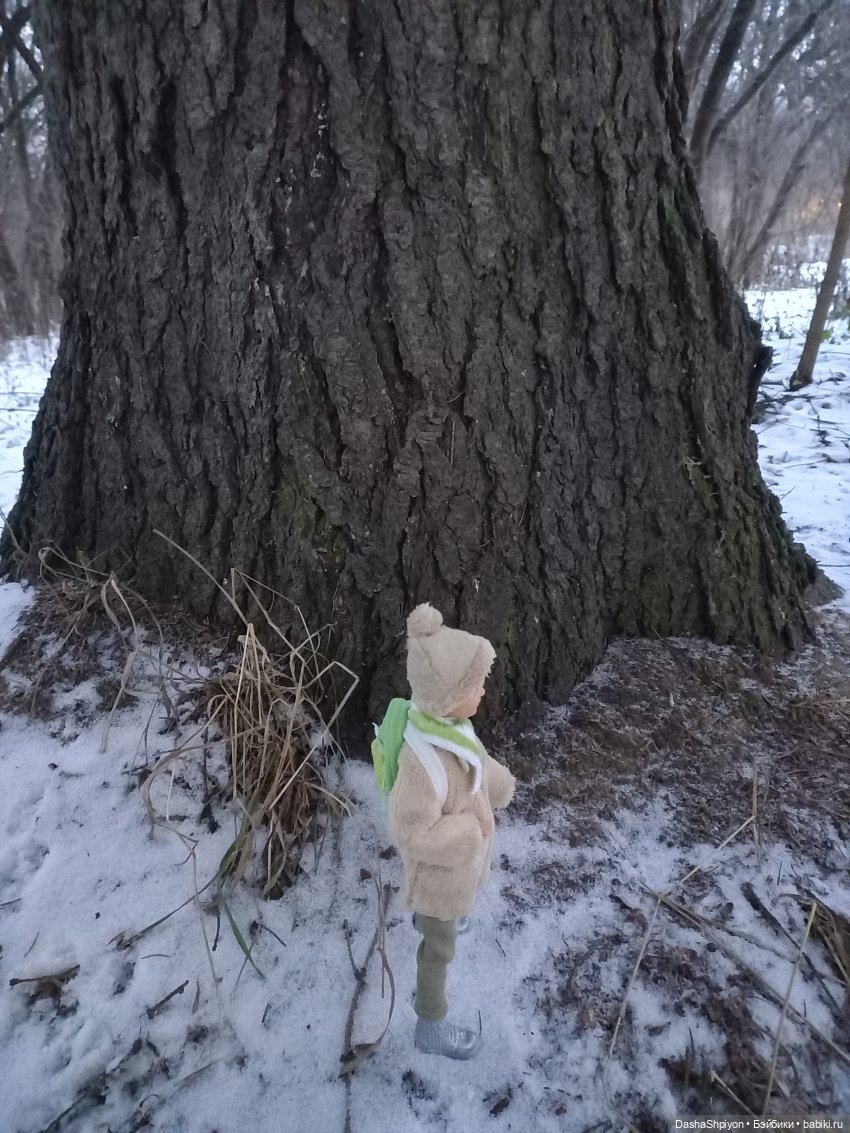 🌨️ Прогулка Валерия в поисках ёлки 🌲✨