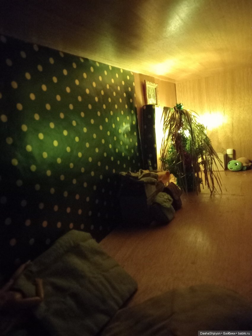 🎄 Компания наряжает ёлку на Новый Год 🌲🎊