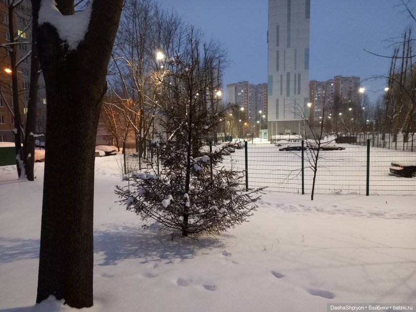 🌨️ Первая зимняя прогулка 💜❄️ (фото 3)