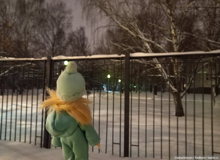 🌨️ Первая зимняя прогулка 💜❄️