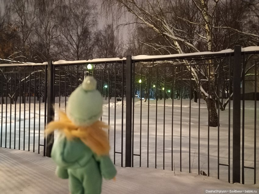 🌨️ Первая зимняя прогулка 💜❄️