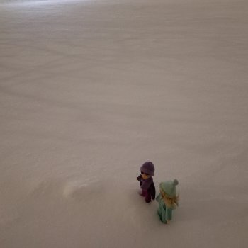 🌨️ Первая зимняя прогулка 💜❄️