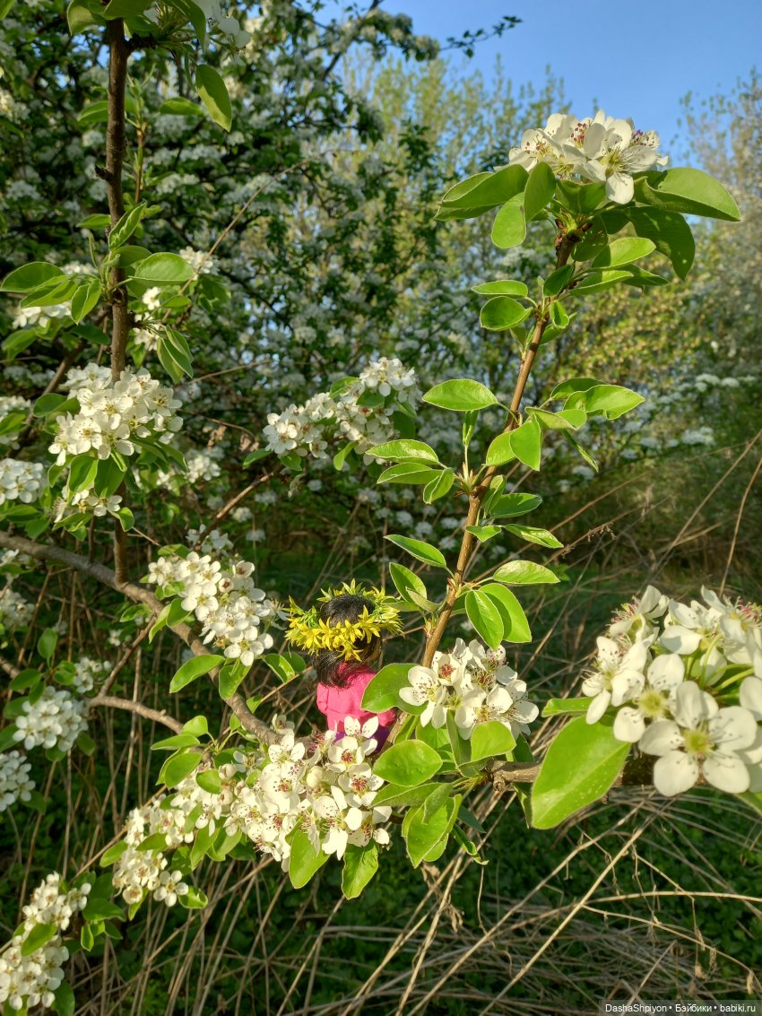🌈Планы на 2026 год 📝📗 — Болталка и разговоры обо всем: жизнь