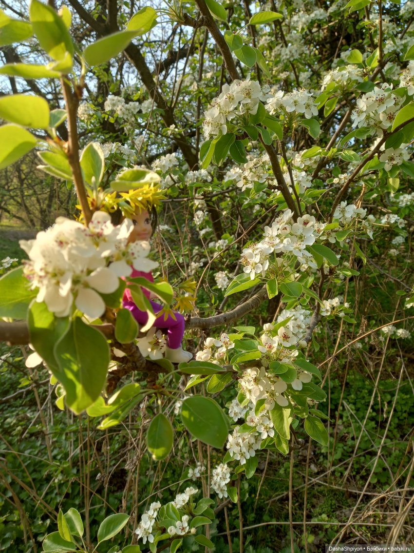 🌈Планы на 2026 год 📝📗 — Болталка и разговоры обо всем: жизнь