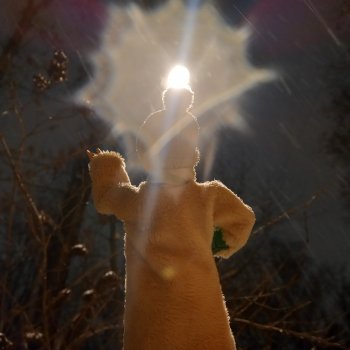 🌨️ Вечерний снегопад и сбор ягод 🍒🌌