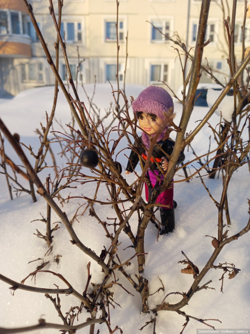☀️ Январская прогулка под солнцем ❄️🤍 (фото 6)