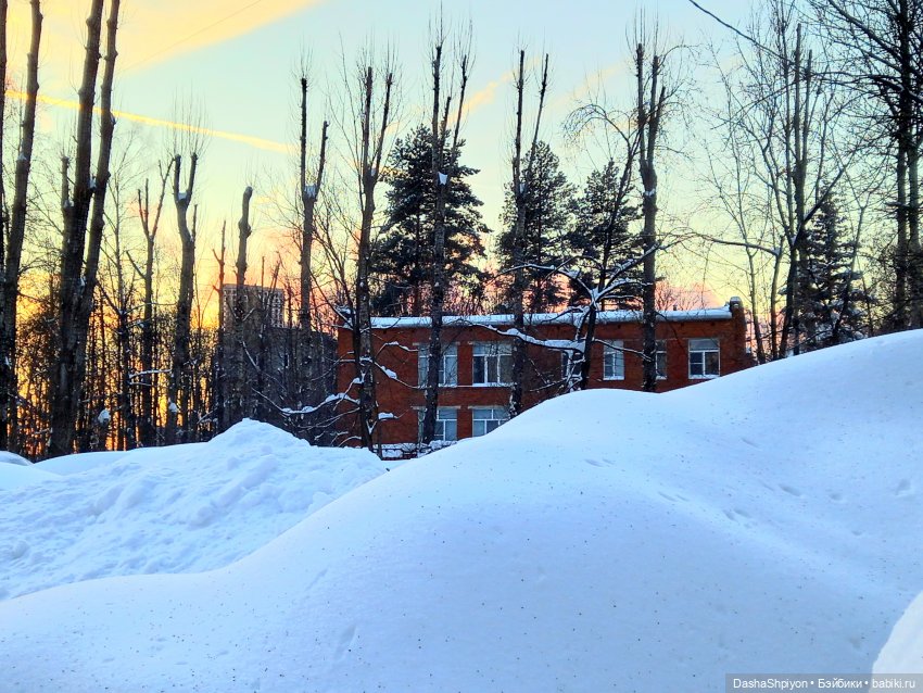 ☀️ Январская прогулка под солнцем ❄️🤍