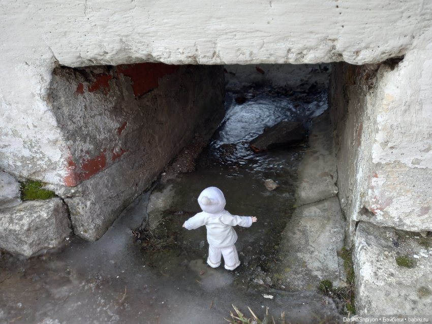 ☀️Застать зимний снег ❄️🌲 (фото 8)