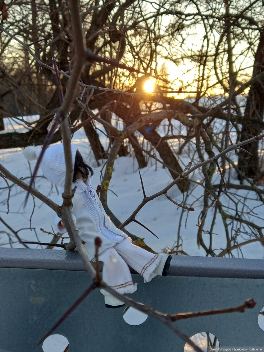 ☀️Застать зимний снег ❄️🌲