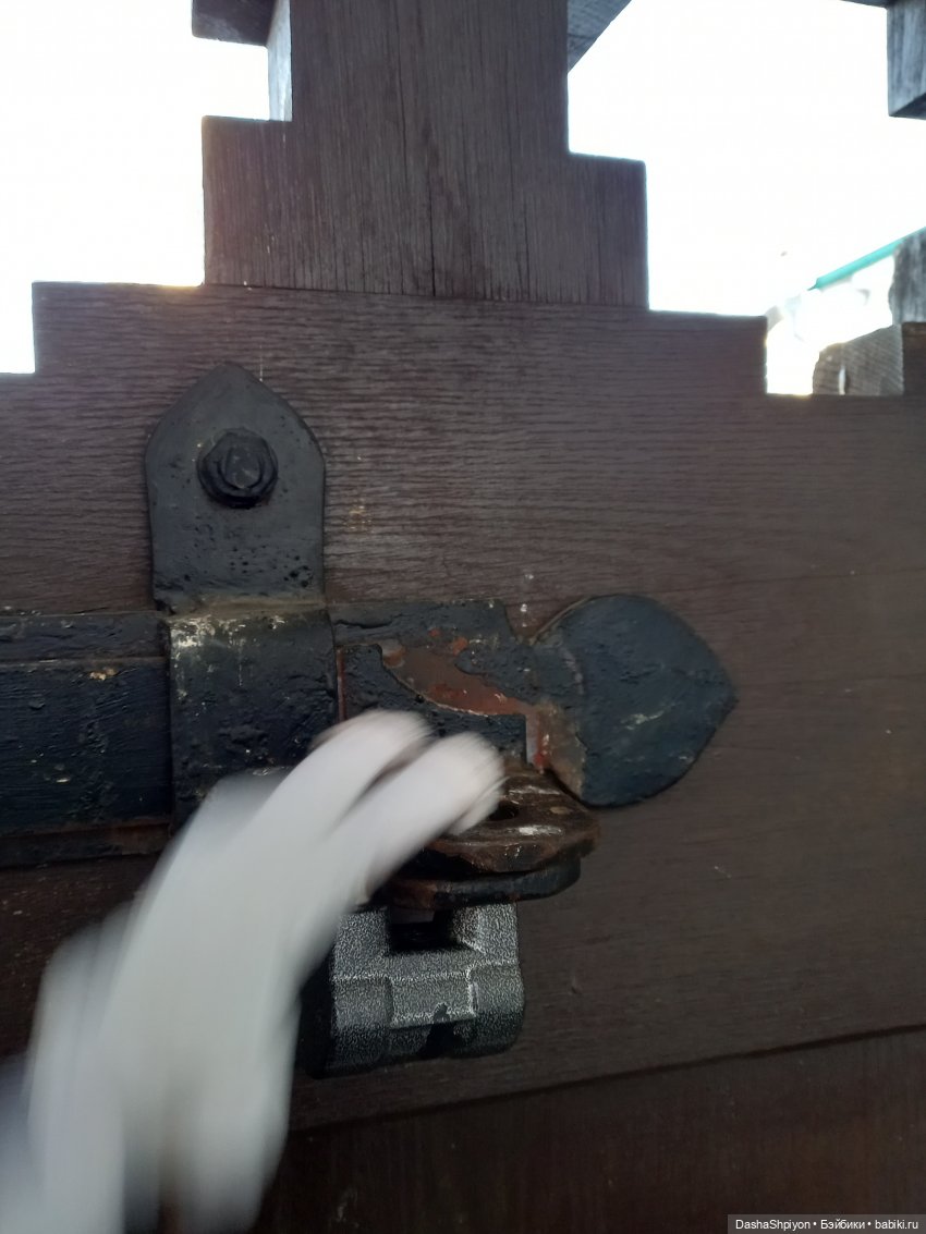 ☀️Застать зимний снег ❄️🌲