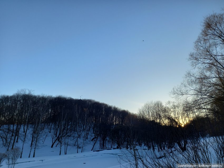 ☀️Застать зимний снег ❄️🌲