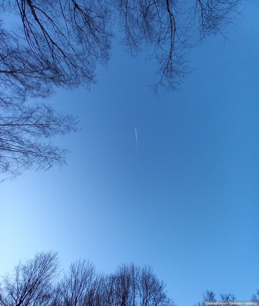 ☀️Застать зимний снег ❄️🌲