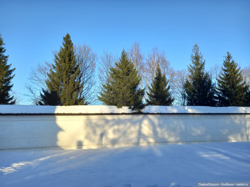 ☀️Застать зимний снег ❄️🌲 (фото 2)