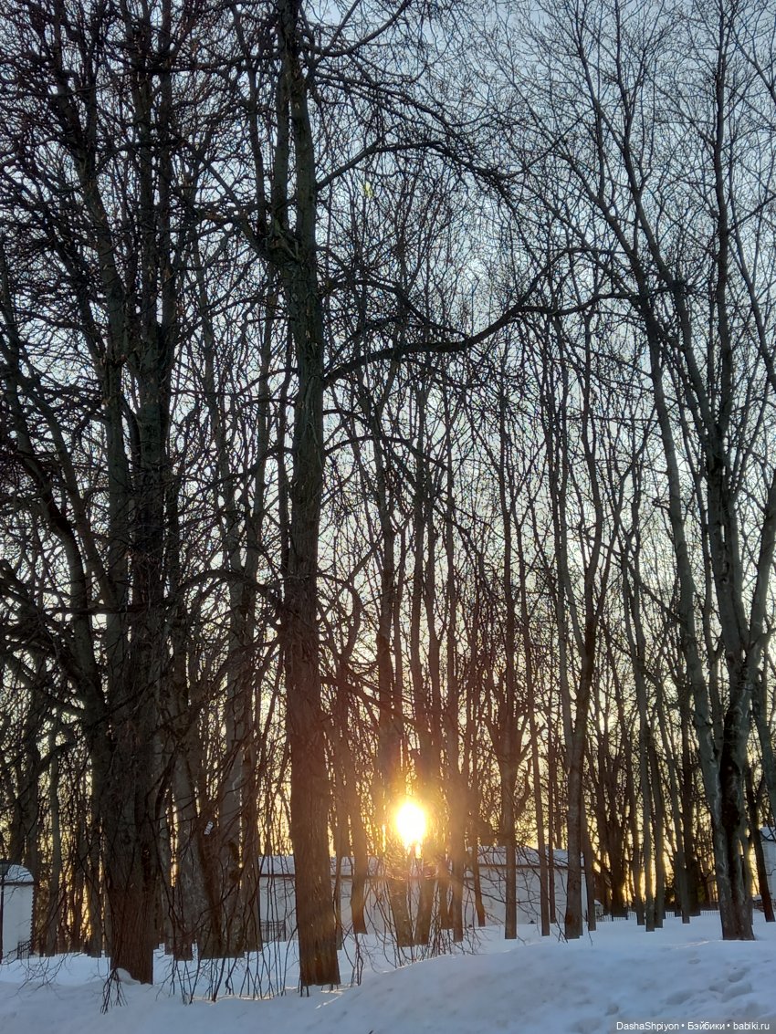 ☀️Застать зимний снег ❄️🌲