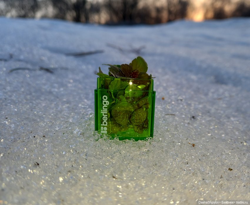 🌱Первые весенние дни🌄⛅ | Бэйбики 🌱Первые весенние дни🌄⛅ — Гибриды шарнирных кукол (не БЖД): подбор тела