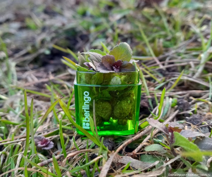 🌱Первые весенние дни🌄⛅ | Бэйбики 🌱Первые весенние дни🌄⛅ — Гибриды шарнирных кукол (не БЖД): подбор тела