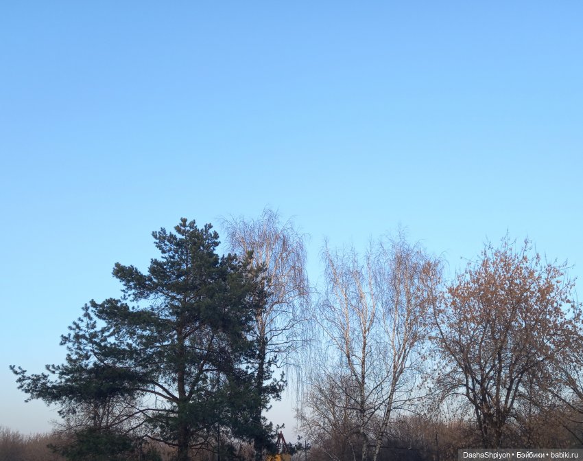 🌱Первые весенние дни🌄⛅ | Бэйбики 🌱Первые весенние дни🌄⛅ — Гибриды шарнирных кукол (не БЖД): подбор тела (фото 2)