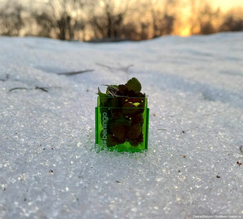 🌱Первые весенние дни🌄⛅ | Бэйбики 🌱Первые весенние дни🌄⛅ — Гибриды шарнирных кукол (не БЖД): подбор тела