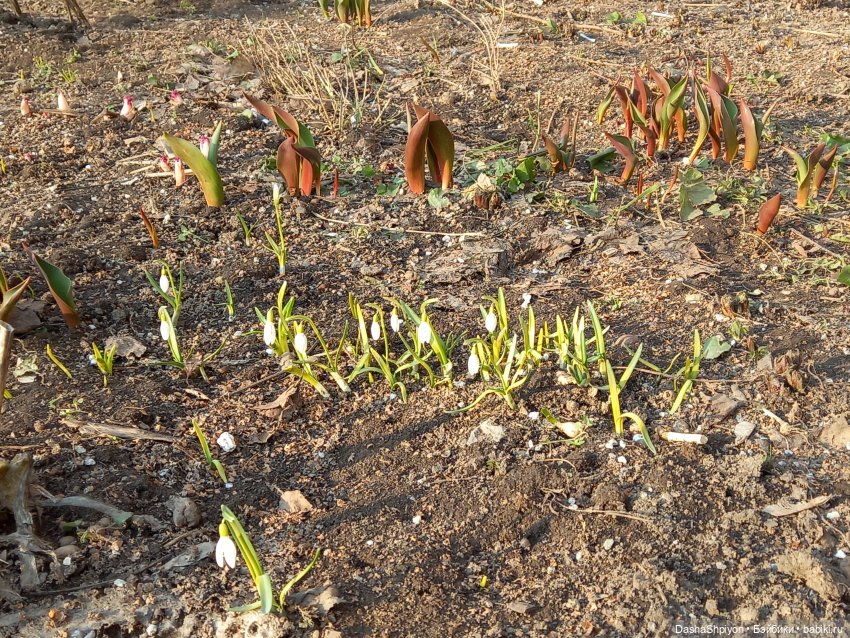 🌲Весна в парке 850-летия Москвы 🌱🌥️