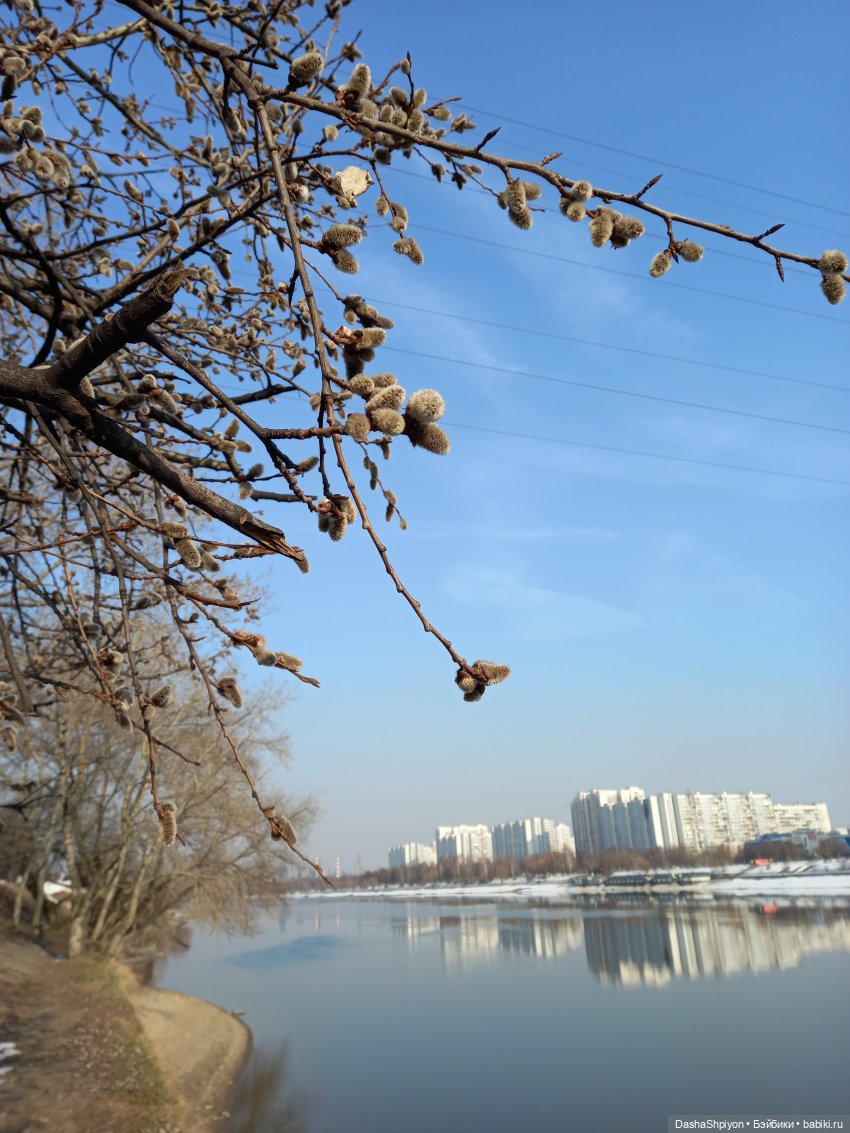 🌲Весна в парке 850-летия Москвы 🌱🌥️