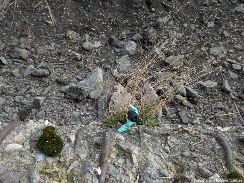 🌲Весна в парке 850-летия Москвы 🌱🌥️