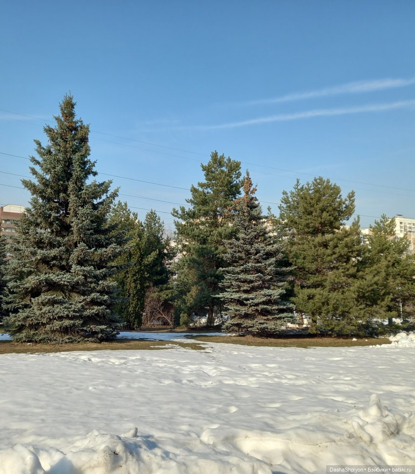 🌲Весна в парке 850-летия Москвы 🌱🌥️ (фото 4)
