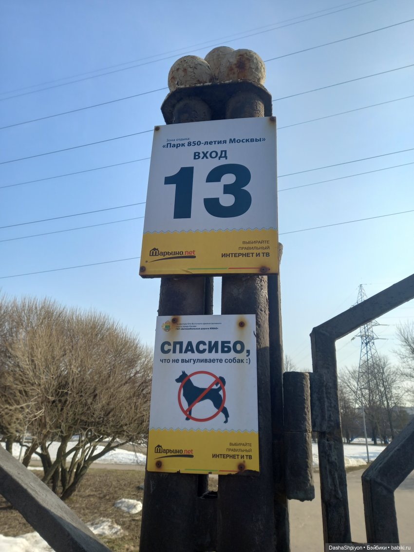 🌲Весна в парке 850-летия Москвы 🌱🌥️ (фото 3)