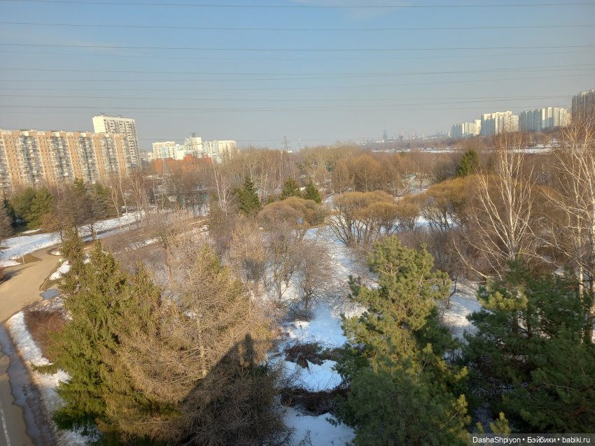 🌲Весна в парке 850-летия Москвы 🌱🌥️