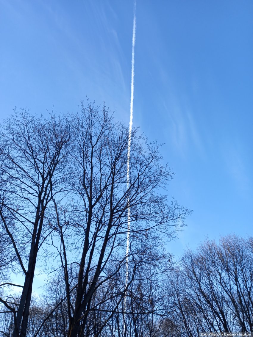 🌤️Мелисса в Коломенском 🌳🪵 (фото 6)