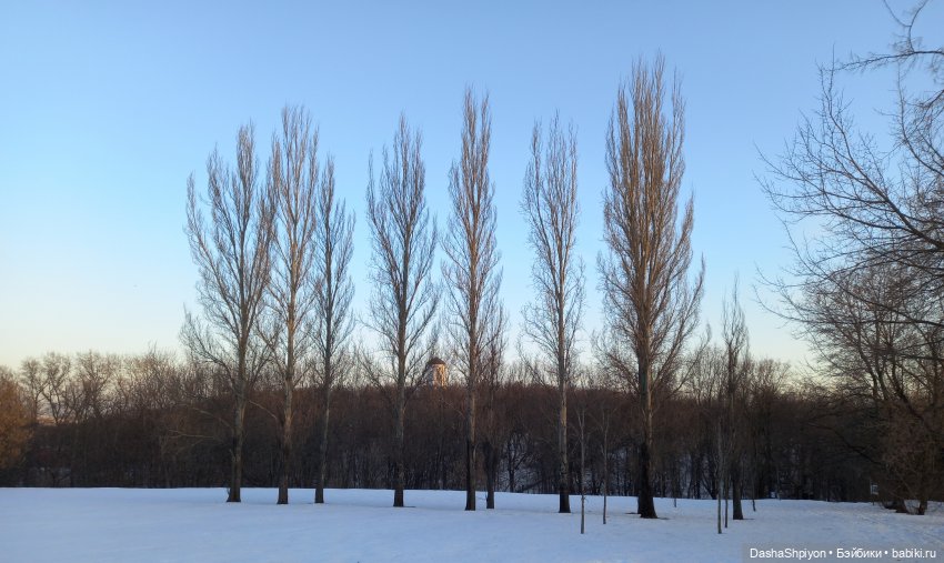 🌤️Мелисса в Коломенском 🌳🪵