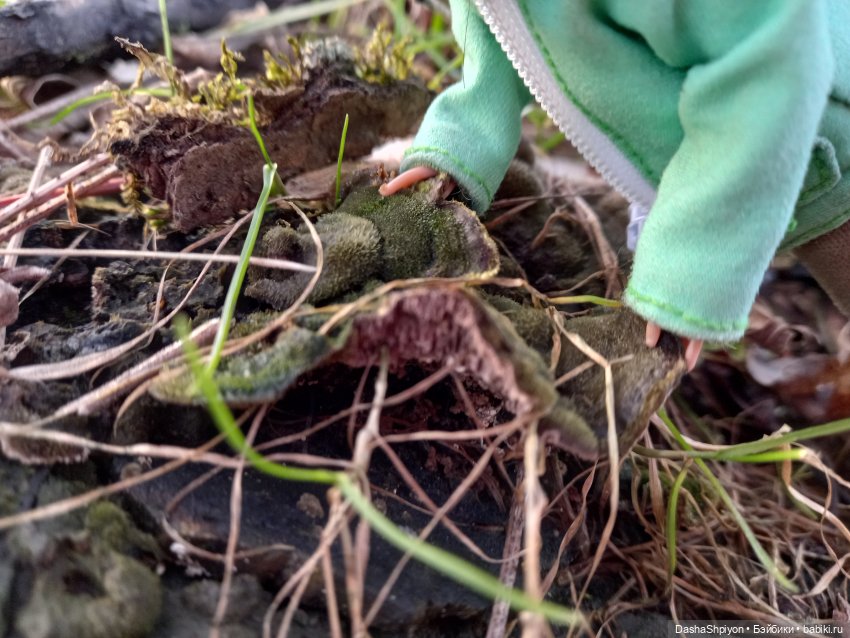 🌤️Мелисса в Коломенском 🌳🪵