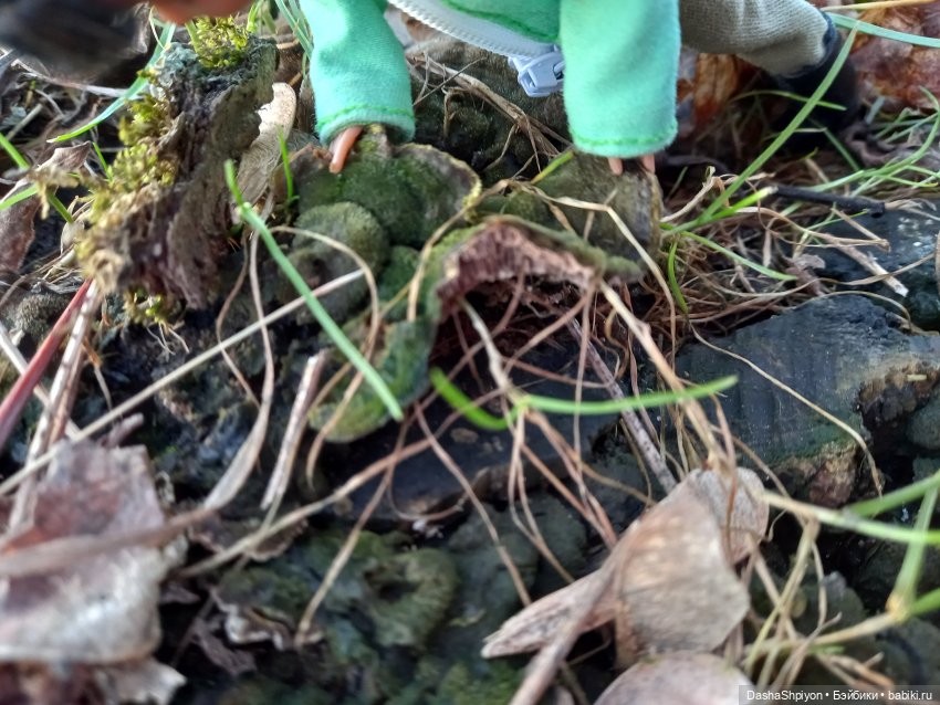 🌤️Мелисса в Коломенском 🌳🪵