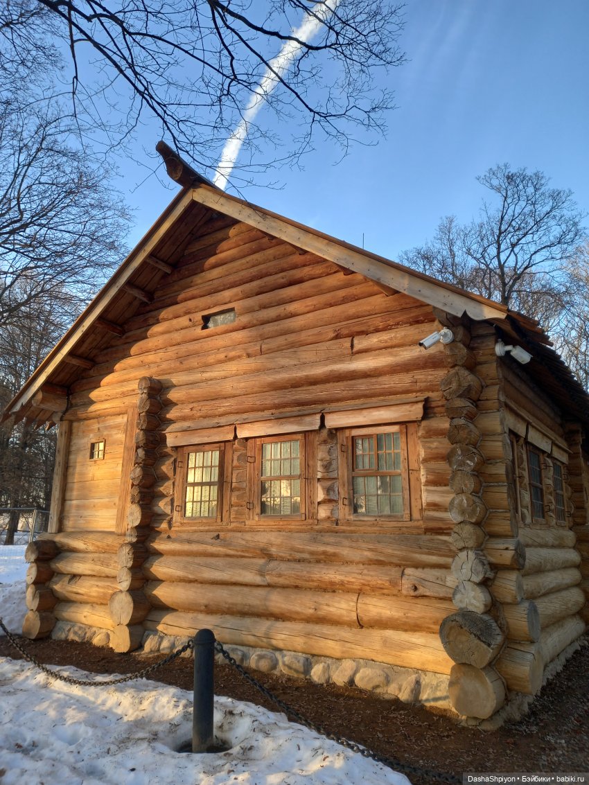 🌤️Мелисса в Коломенском 🌳🪵 (фото 8)